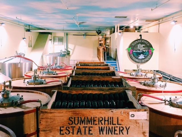 summerhill-winery-4